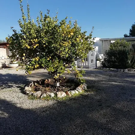 Trullo Pasquale Antico Trullo *